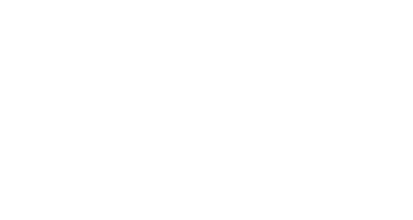 BBL BroadBand Light - Logo